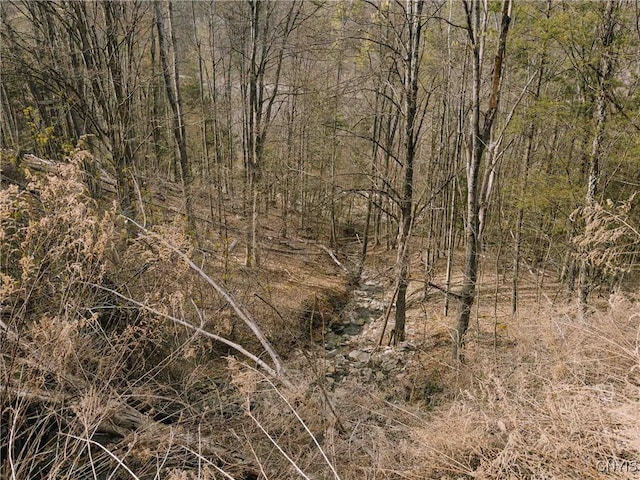5059 Mcmaster Rd, Cameron, NY 14819 - photo 39