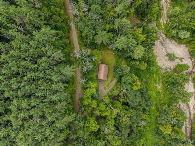 5059 Mcmaster Rd, Cameron, NY 14819 - photo 44