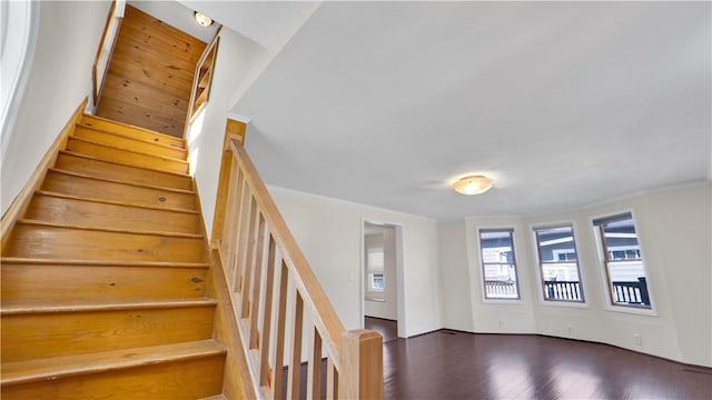 1 Jones Ter, East Bloomfield, NY 14469 - photo 10