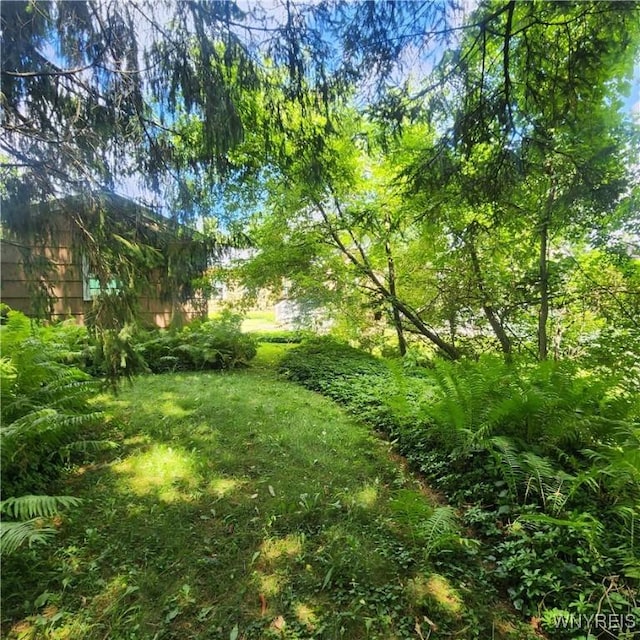 182 Woodward Ave, Concord, NY 14141 - photo 5
