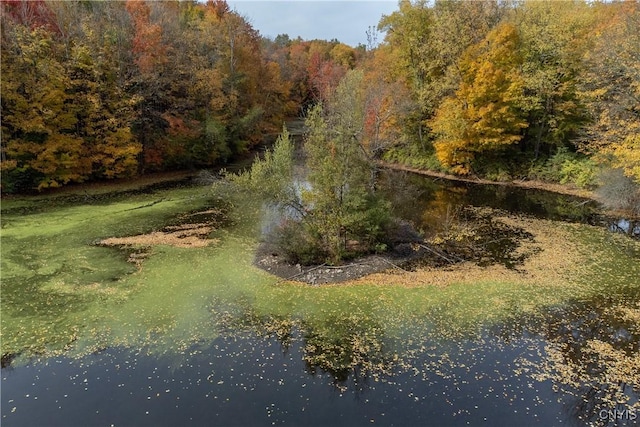7477 Rickmeyer Rd, Floyd, NY 13440 - photo 14