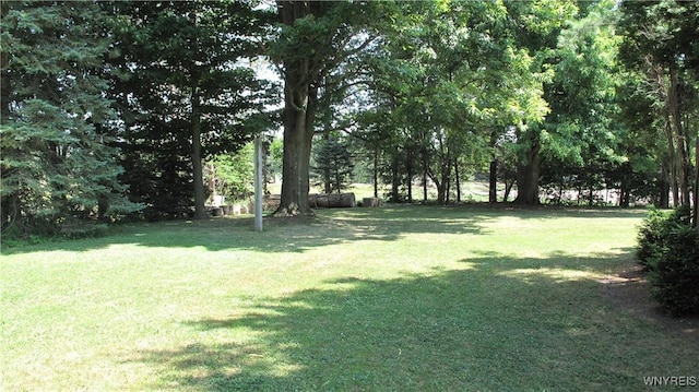 9675 Colby Rd, Darien, NY 14036 - photo 22