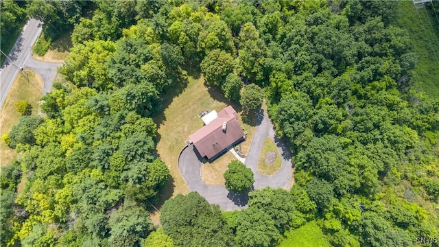 4019 Sentinel Heights Rd, Onondaga, NY 13078 - photo 4