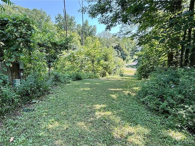 4019 Sentinel Heights Rd, Onondaga, NY 13078 - photo 50