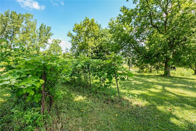 8632 State Route 5 And 20, West Bloomfield, NY 14469 - photo 23