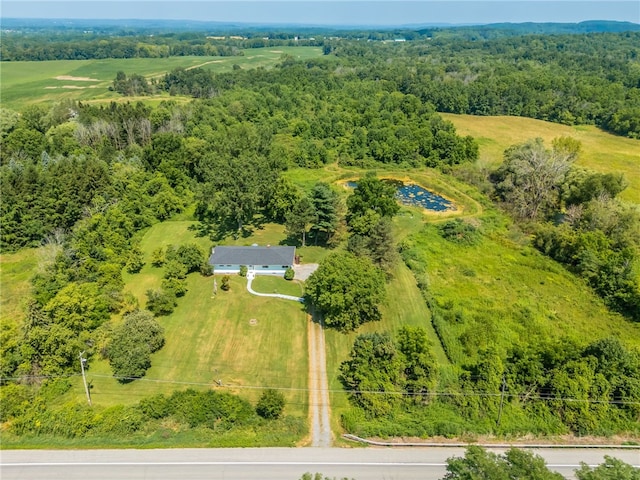 8632 State Route 5 And 20, West Bloomfield, NY 14469 - photo 28