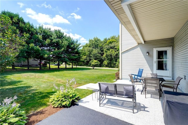 1054 Hard Rock Rd, Webster, NY 14580 - photo 37
