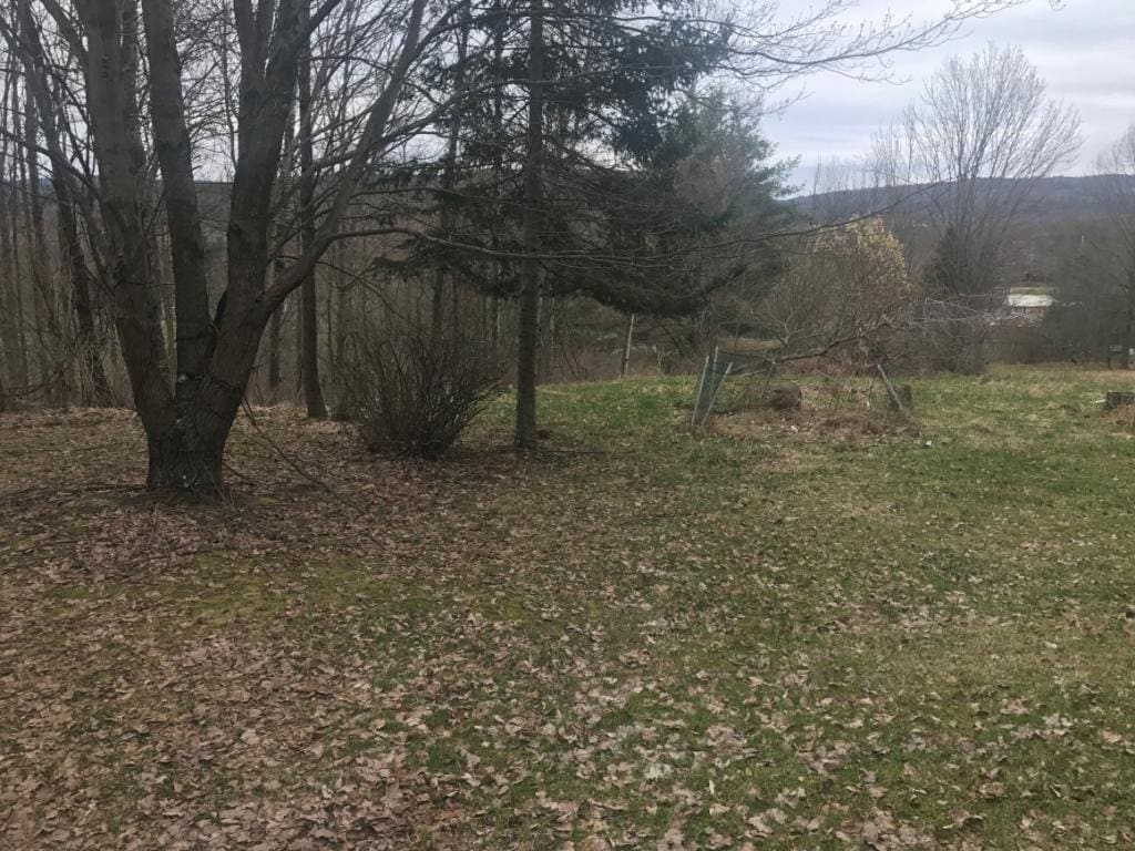 280 Saxby Rd, Windsor, NY 13865 - photo 1