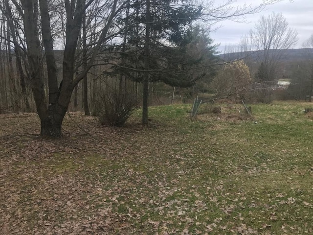 280 Saxby Rd, Windsor, NY 13865 - photo 1
