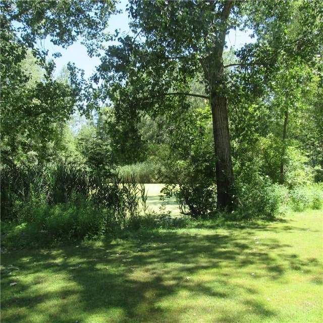 2143 E Kent Rd, Carlton, NY 14477 - photo 5