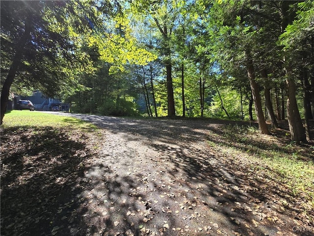 7905 Hall Rd, Vienna, NY 13042 - photo 41
