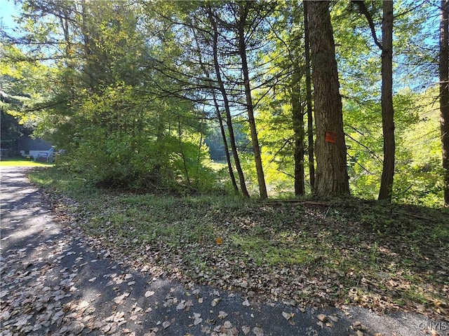 7905 Hall Rd, Vienna, NY 13042 - photo 40