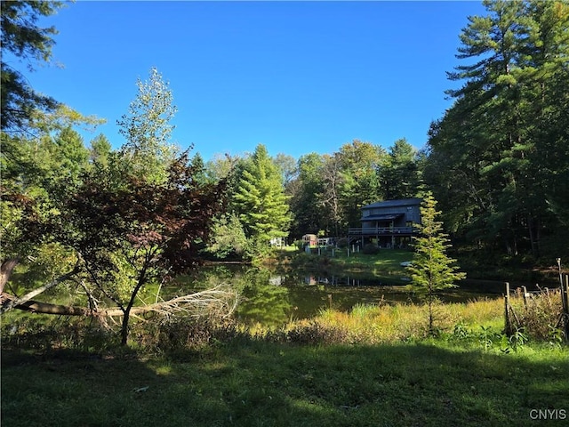 7905 Hall Rd, Vienna, NY 13042 - photo 43