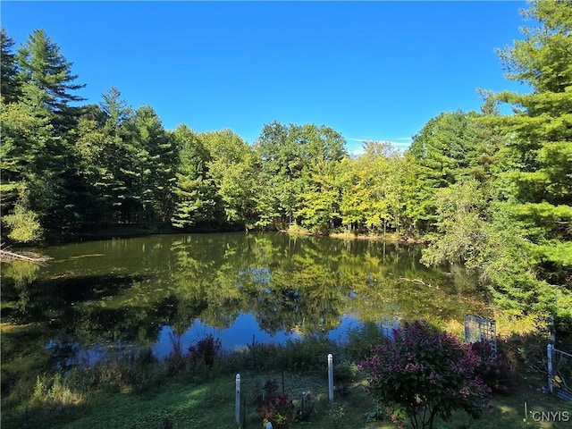 7905 Hall Rd, Vienna, NY 13042 - photo 39