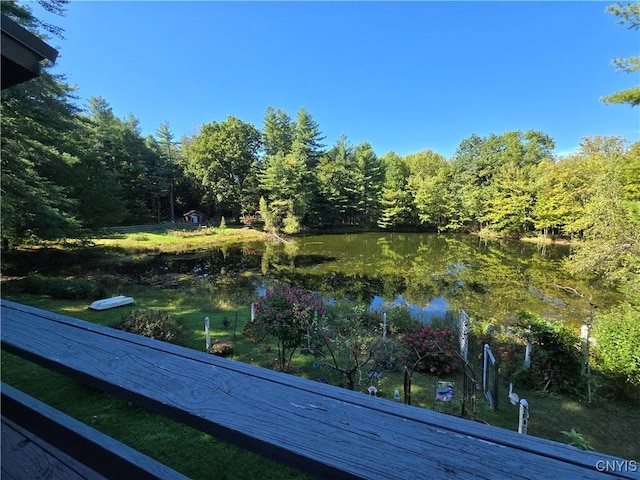 7905 Hall Rd, Vienna, NY 13042 - photo 3