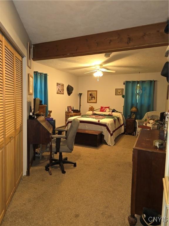 7905 Hall Rd, Vienna, NY 13042 - photo 21