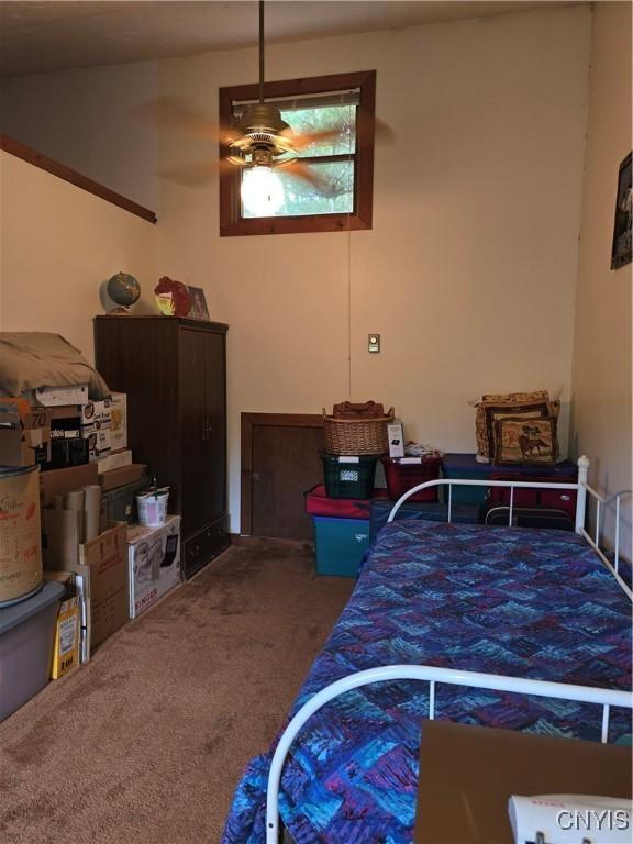 7905 Hall Rd, Vienna, NY 13042 - photo 28