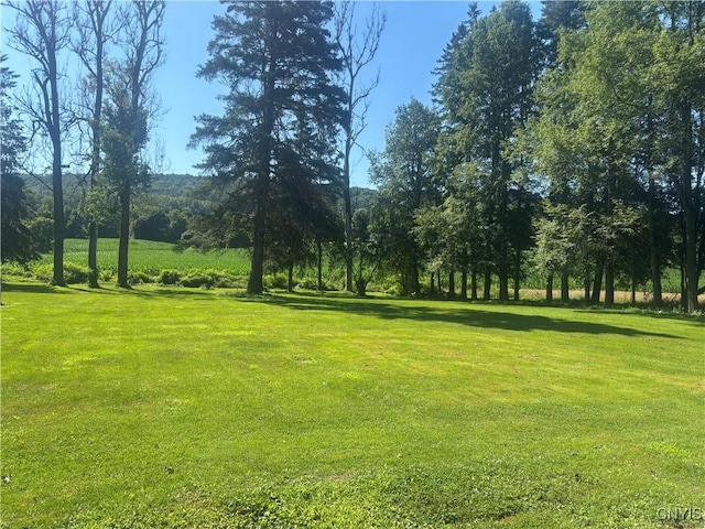 2128 E River Rd, Homer, NY 13045 - photo 39