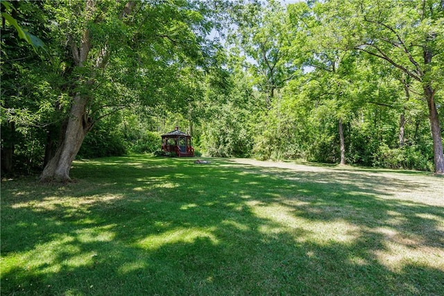 4306 Lakemont Himrod Rd, Starkey, NY 14837 - photo 40