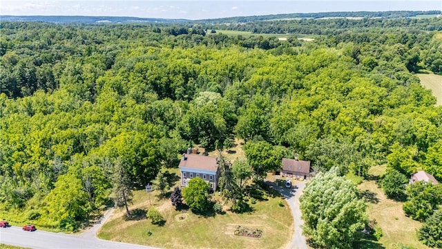 4306 Lakemont Himrod Rd, Starkey, NY 14837 - photo 49