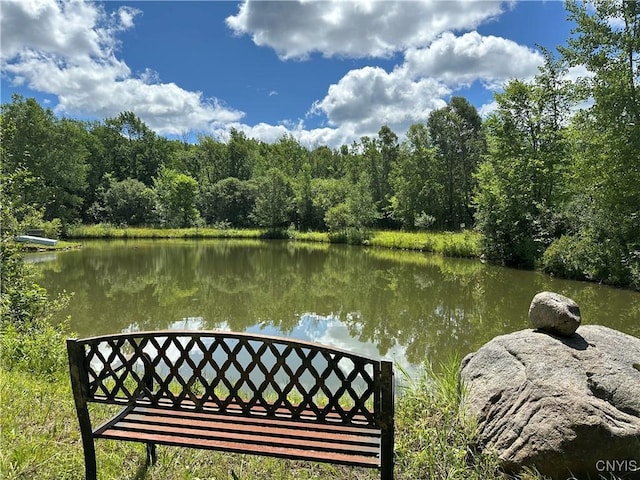 Brown Rd, Lorraine, NY 13659 - photo 19
