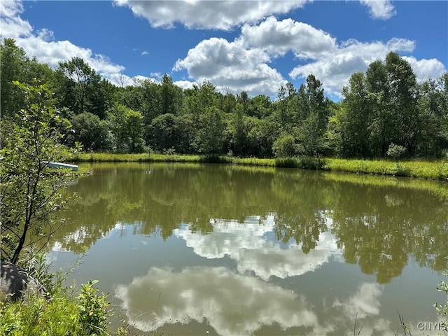 Brown Rd, Lorraine, NY 13659 - photo 20