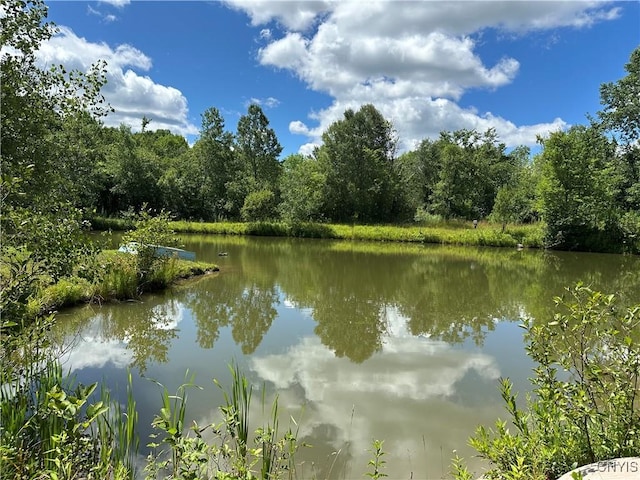Brown Rd, Lorraine, NY 13659 - photo 21
