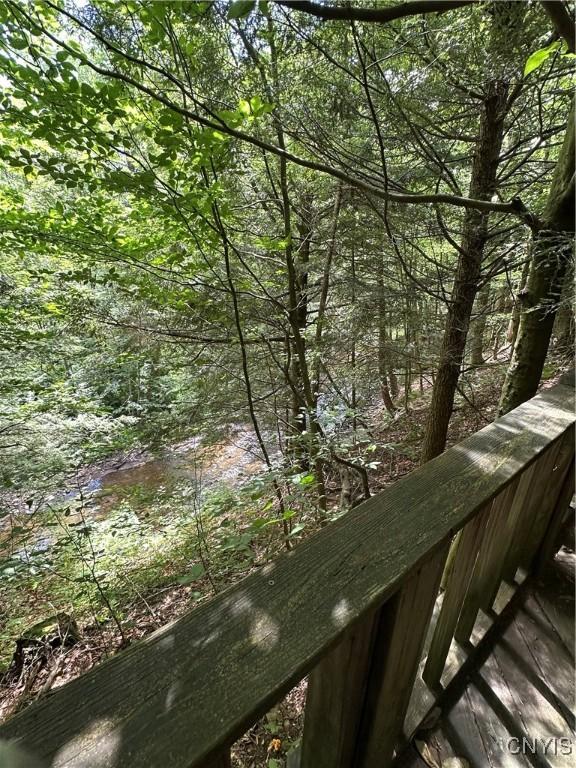 Brown Rd, Lorraine, NY 13659 - photo 29