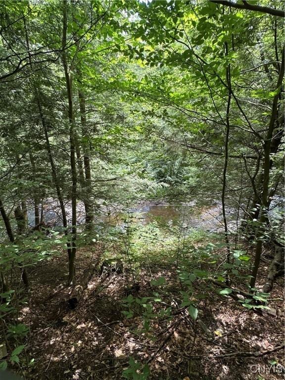 Brown Rd, Lorraine, NY 13659 - photo 30