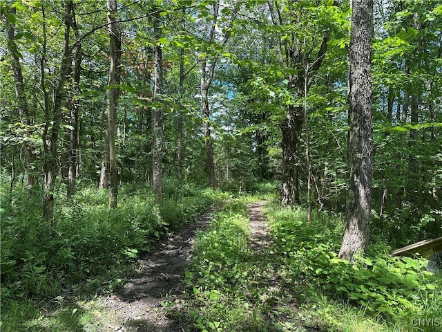 Brown Rd, Lorraine, NY 13659 - photo 31