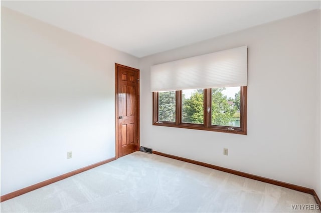 121 Summershade Ct, Amherst, NY 14051 - photo 24