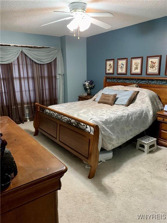 4313 S Newstead Rd, Newstead, NY 14001 - photo 5
