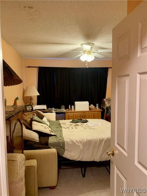 4313 S Newstead Rd, Newstead, NY 14001 - photo 8