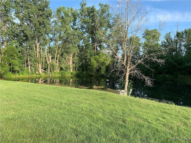 4313 S Newstead Rd, Newstead, NY 14001 - photo 19