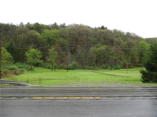 0 State Highway 12, North Norwich, NY 13815 - photo 2