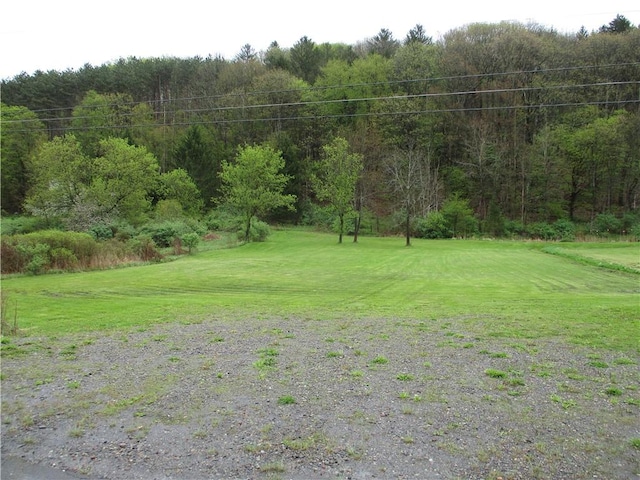 0 State Highway 12, North Norwich, NY 13815 - photo 3