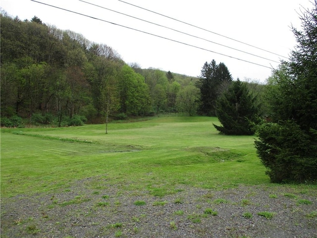 0 State Highway 12, North Norwich, NY 13815 - photo 4