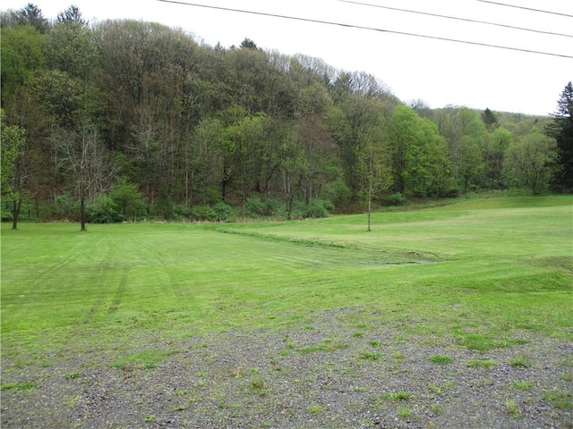 0 State Highway 12, North Norwich, NY 13815 - photo 5
