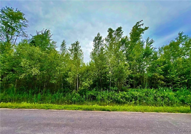 LOT20 Forest Ridge Dr, Rome, NY 13340 - photo 1