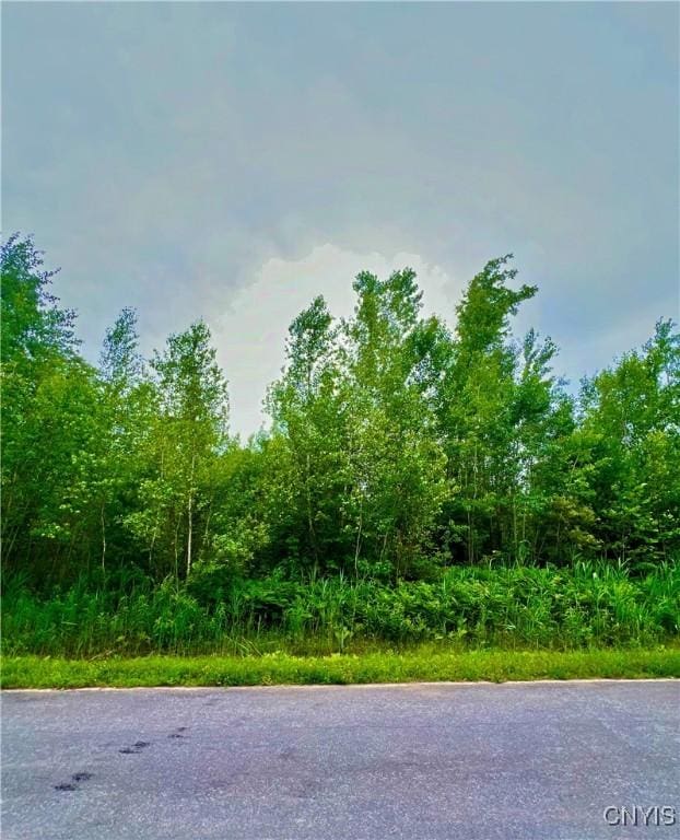 LOT20 Forest Ridge Dr, Rome, NY 13340 - photo 3