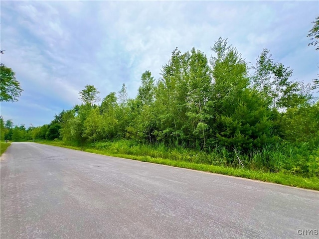 LOT20 Forest Ridge Dr, Rome, NY 13340 - photo 4