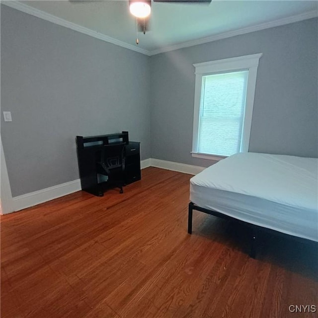233 Amherst Ave, Syracuse, NY 13205 - photo 16