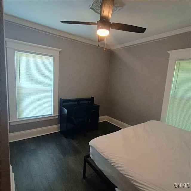 233 Amherst Ave, Syracuse, NY 13205 - photo 19