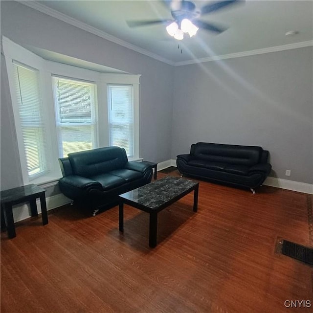233 Amherst Ave, Syracuse, NY 13205 - photo 8
