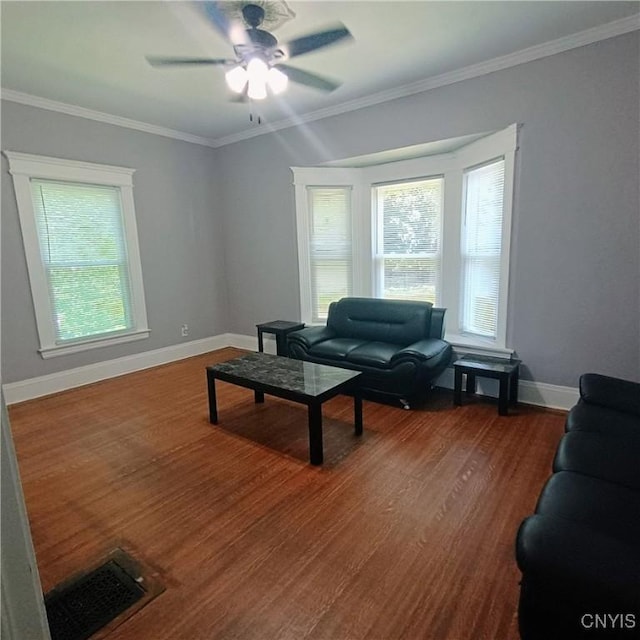 233 Amherst Ave, Syracuse, NY 13205 - photo 7