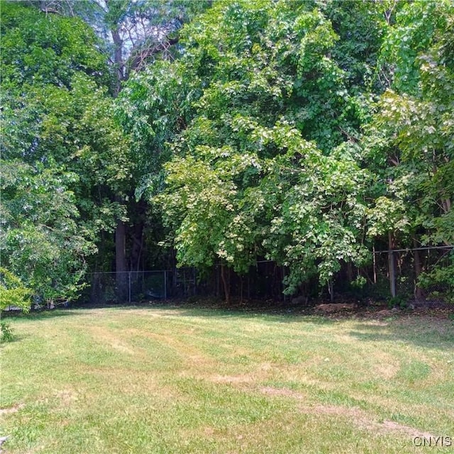 233 Amherst Ave, Syracuse, NY 13205 - photo 30