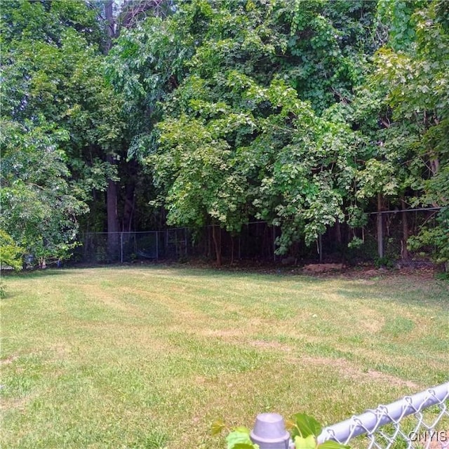 233 Amherst Ave, Syracuse, NY 13205 - photo 31