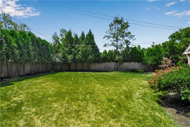 21 Tee Ct, Amherst, NY 14221 - photo 7