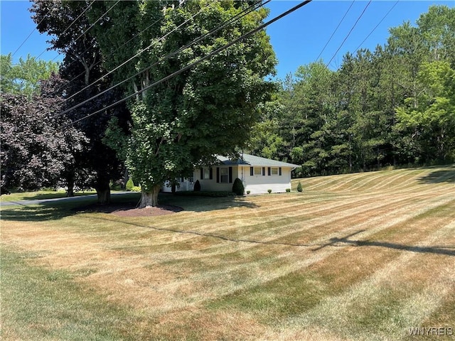 4351 Two Rod Rd, Wales, NY 14052 - photo 11