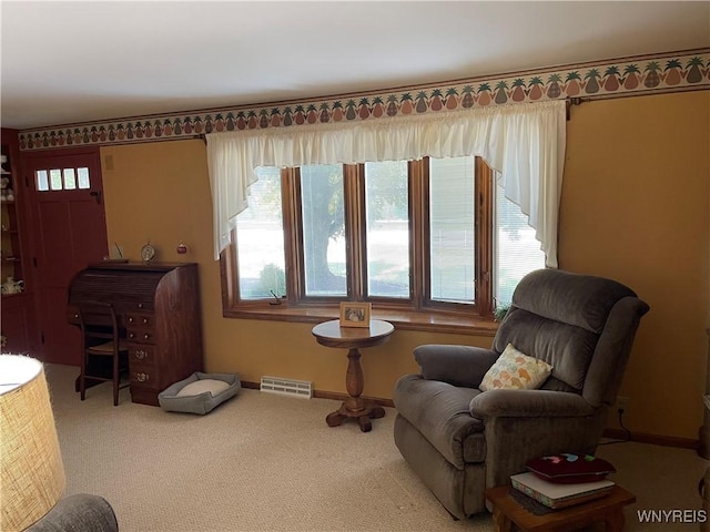 4351 Two Rod Rd, Wales, NY 14052 - photo 28
